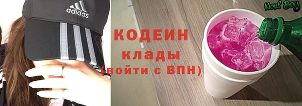 спиды Каменка