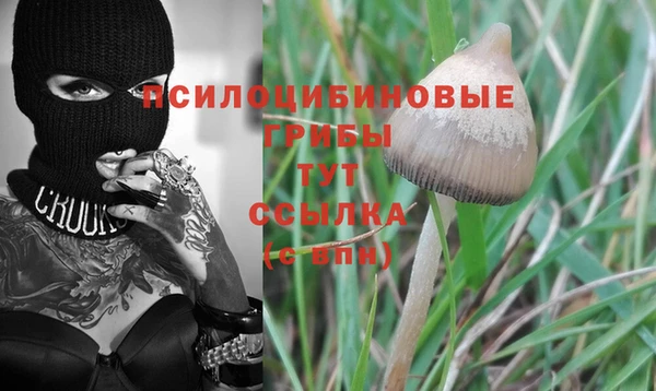 героин Каменногорск