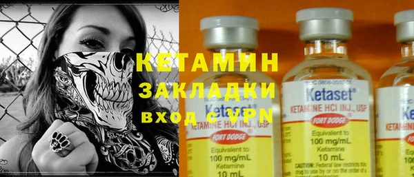 твердый Инта