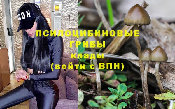 спиды Каменка