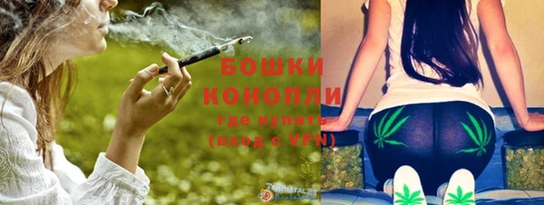 спиды Каменка