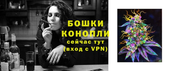 сатива Карпинск
